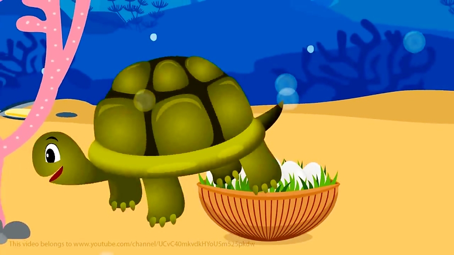 کارتون کوسه کوچولو - آموزش زبان انگلیسی برای کودکان - اپیزود 22